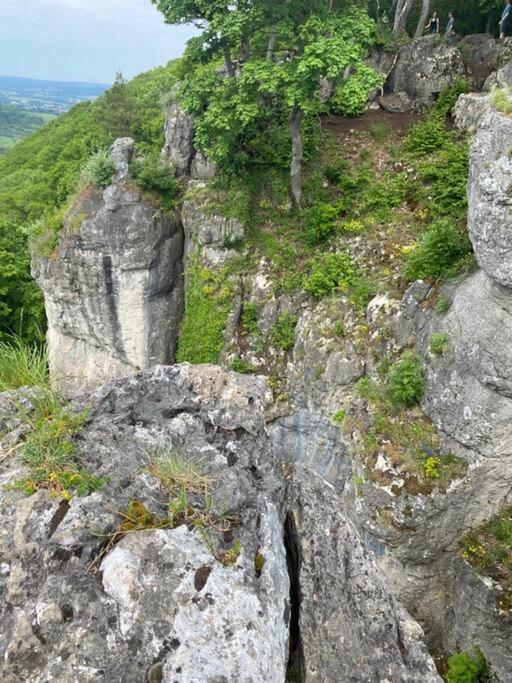 Laendliche Fewo Wildblume, 4 Km Zum Stausee 哈普格 外观 照片