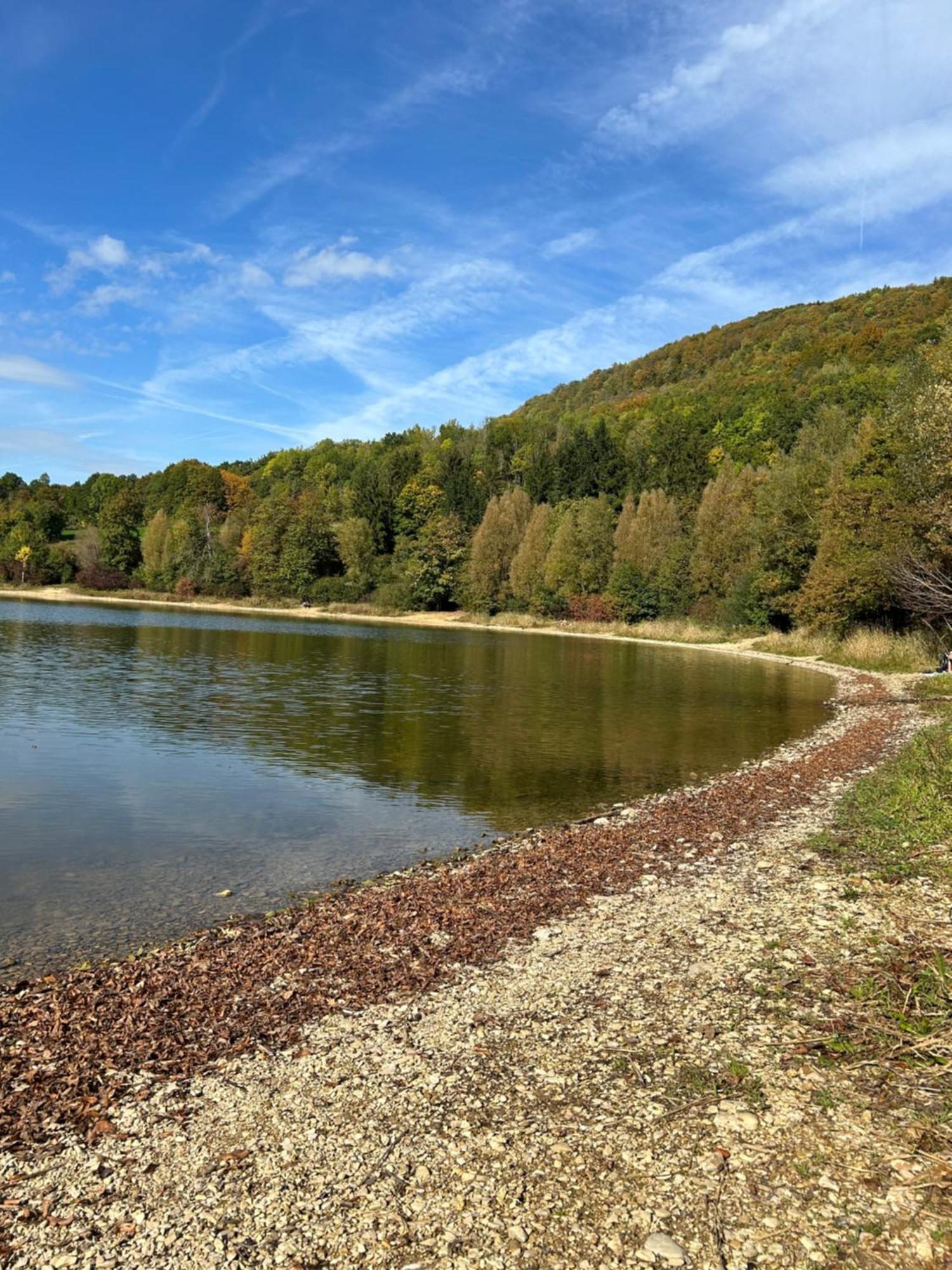 Laendliche Fewo Wildblume, 4 Km Zum Stausee 哈普格 外观 照片